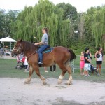 foto-festa-country-1-09-2013-088