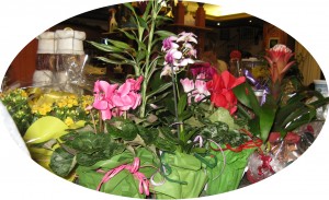 img_7462-a